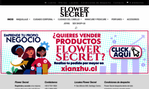 Flowersecret.cl thumbnail