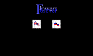 Flowersforever.nl thumbnail