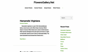 Flowersgallery.net thumbnail