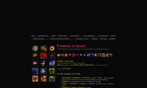 Flowersinisrael.com thumbnail