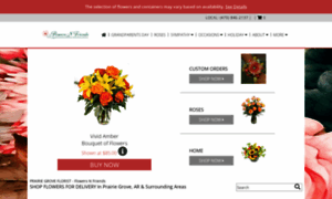 Flowersnfriends.com thumbnail