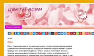 Flowersvsem.ru thumbnail