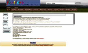 Flutters.org thumbnail