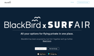 Flyblackbird.com thumbnail