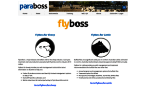 Flyboss.com.au thumbnail