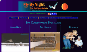 Flybynightinc.org thumbnail