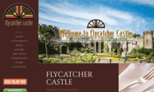 Flycatchercastle.com thumbnail