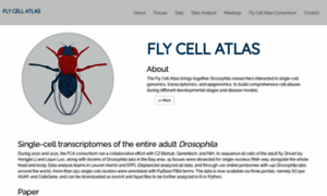 Flycellatlas.org thumbnail