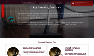 Flycleaningservices.com thumbnail