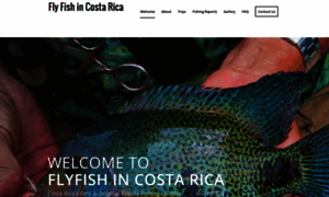 Flyfishincostarica.com thumbnail