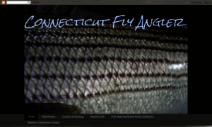 Flyfishingcts.blogspot.com thumbnail