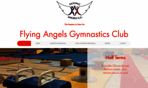 Flyingangelsgymnasticsclub.com thumbnail