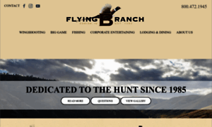 Flyingbranch.com thumbnail