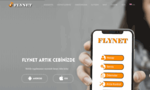 Flynet.net thumbnail