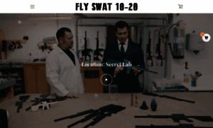 Flyswat10-20.com thumbnail