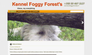 Foggyforests.fi thumbnail