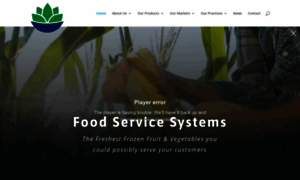 Foodservicesystems.com thumbnail