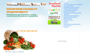 Foodtech.com.ru thumbnail
