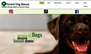 Forest-dog-rescue.org.uk thumbnail