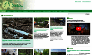 Forest.ru thumbnail