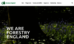 Forestryengland.uk thumbnail