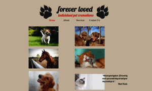 Foreverloved.co.nz thumbnail