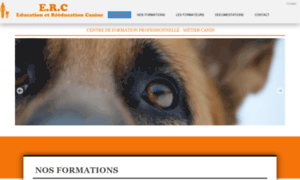 Formation-educateur-canin-aixenprovence.fr thumbnail