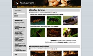 Formicarium.it thumbnail