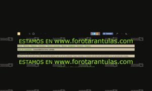 Forotarantulas.mforos.com thumbnail