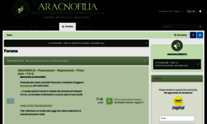 Forum.aracnofilia.org thumbnail