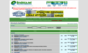 Forum.brodnica.net thumbnail