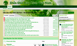 Forum.caycanhvietnam.com thumbnail