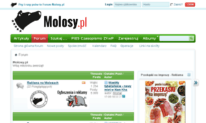Forum.molosy.pl thumbnail