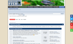 Forums.thinkfish.co.uk thumbnail