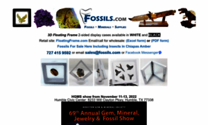 Fossils.com thumbnail