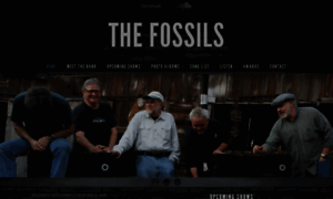 Fossilsrock.com thumbnail