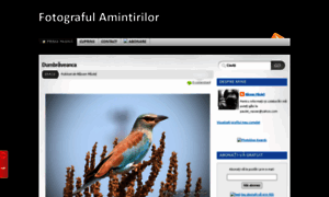 Fotograful-amintirilor.blogspot.com thumbnail
