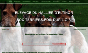 Fox-terriers.fr thumbnail