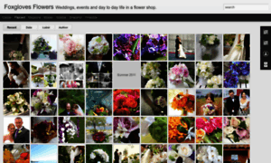 Foxglovesflowers.blogspot.com thumbnail