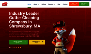 Foxguttercleaning.com thumbnail