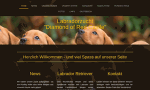Foxred-labrador.ch thumbnail
