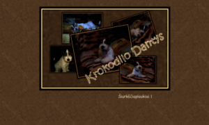 Foxterrier.lt thumbnail