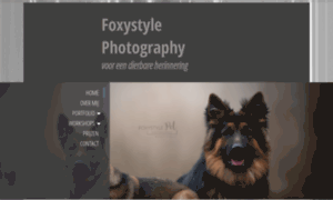 Foxystylepetphoto.com thumbnail