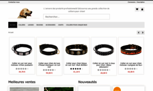 France-boutique-colliers-pour-chiens.com thumbnail