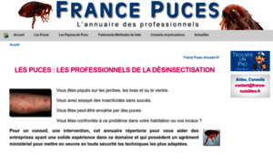 France-puces.com thumbnail
