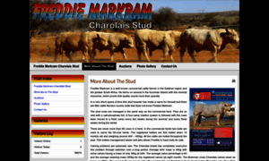 Freddiemarkramstud.co.za thumbnail