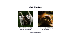 Freecatphotoapp.com thumbnail