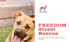 Freedomstreetrescue.org thumbnail