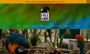 Freeflightbirds.org thumbnail