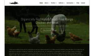 Freerangehalalmeat.co.uk thumbnail